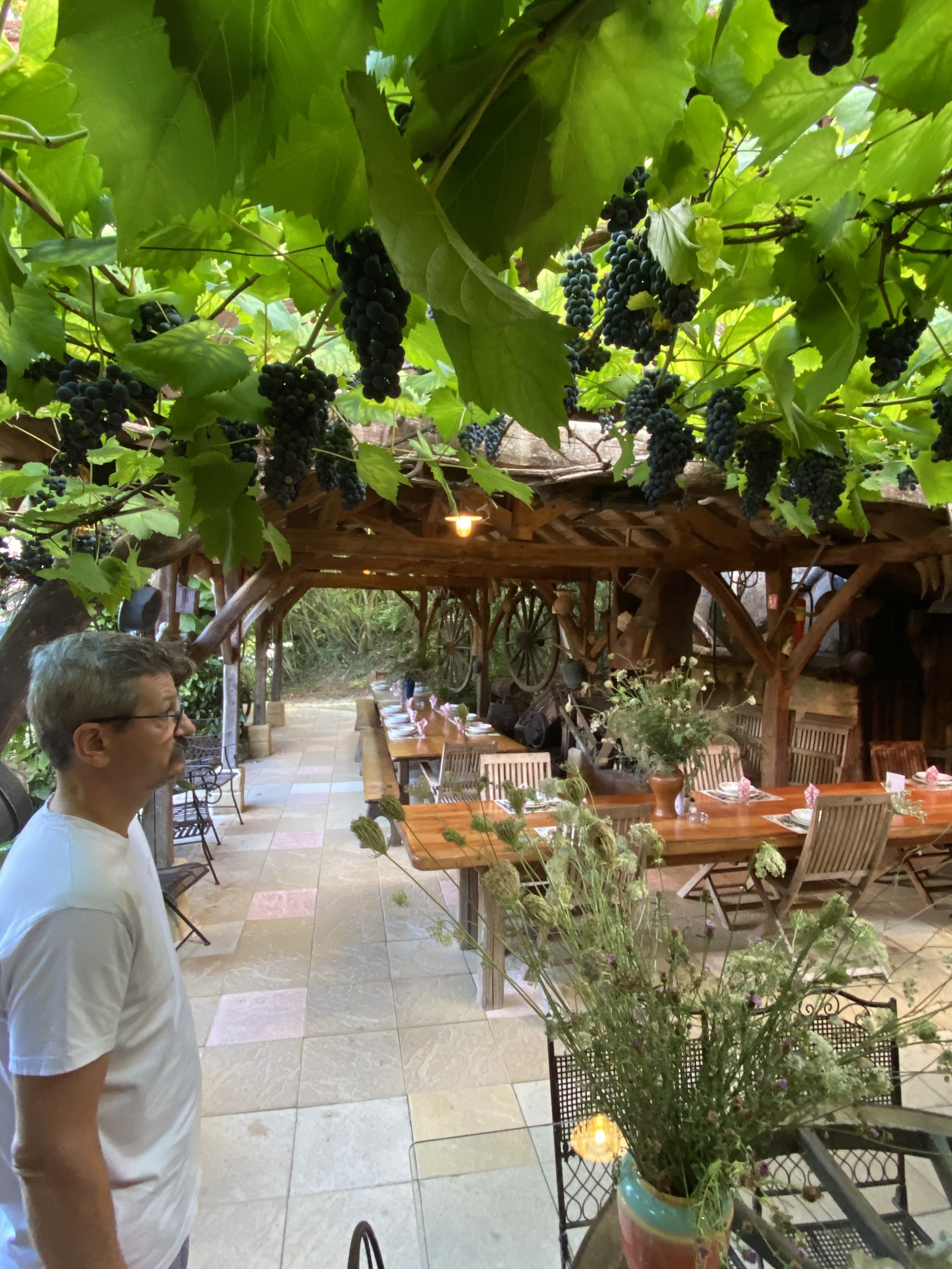 Les longues tables de bois dressées sous la charpente couverte de vigne.