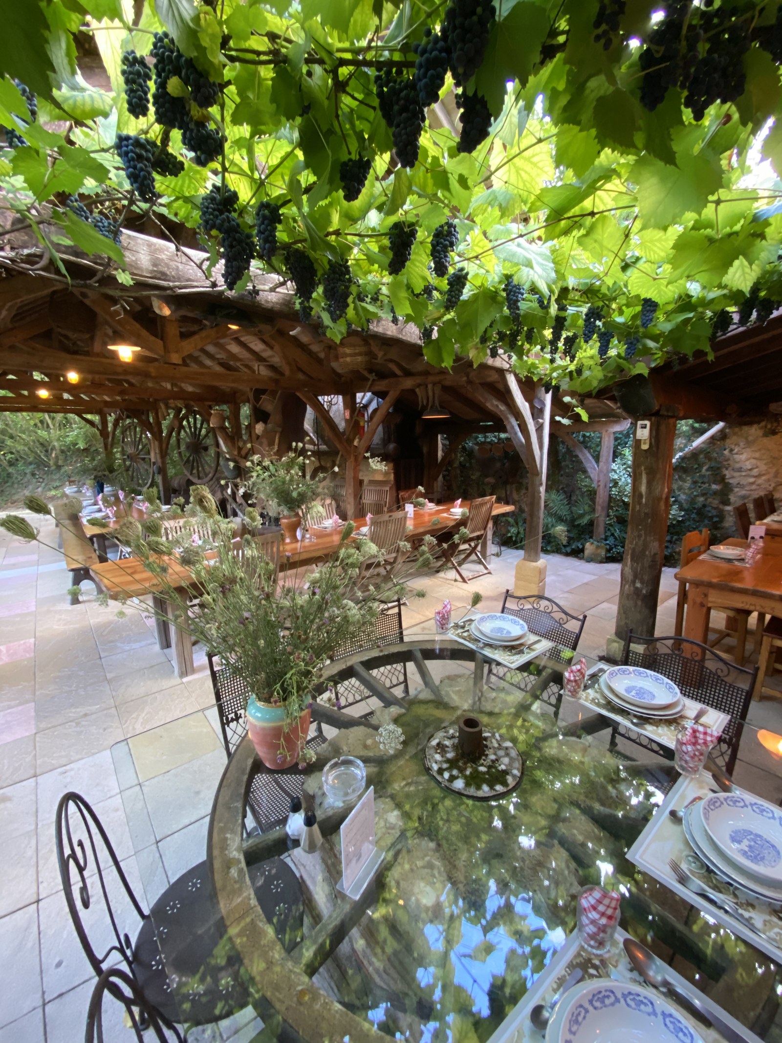 La treille chargée de grappes au-dessus des tables dressées, sur la terrasse de l’auberge.